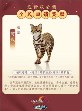 天龙八部发布网玩家心路历程从小白到大神